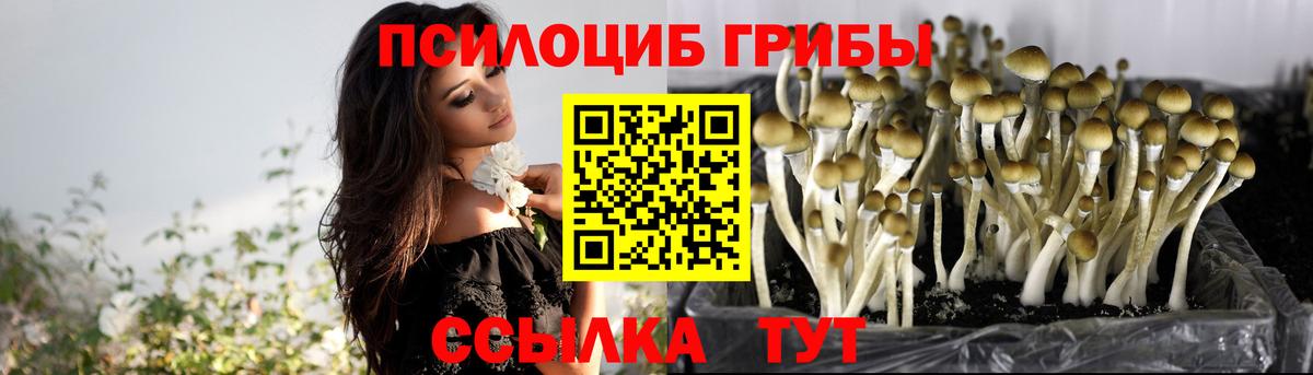 Звенигород  Галлюциногенные грибы GOLDEN TEACHER  Вход с VPN  Псилоцибиновые грибы Psilocybine cubensis 